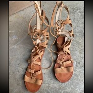 Frye Gladiator Sandals